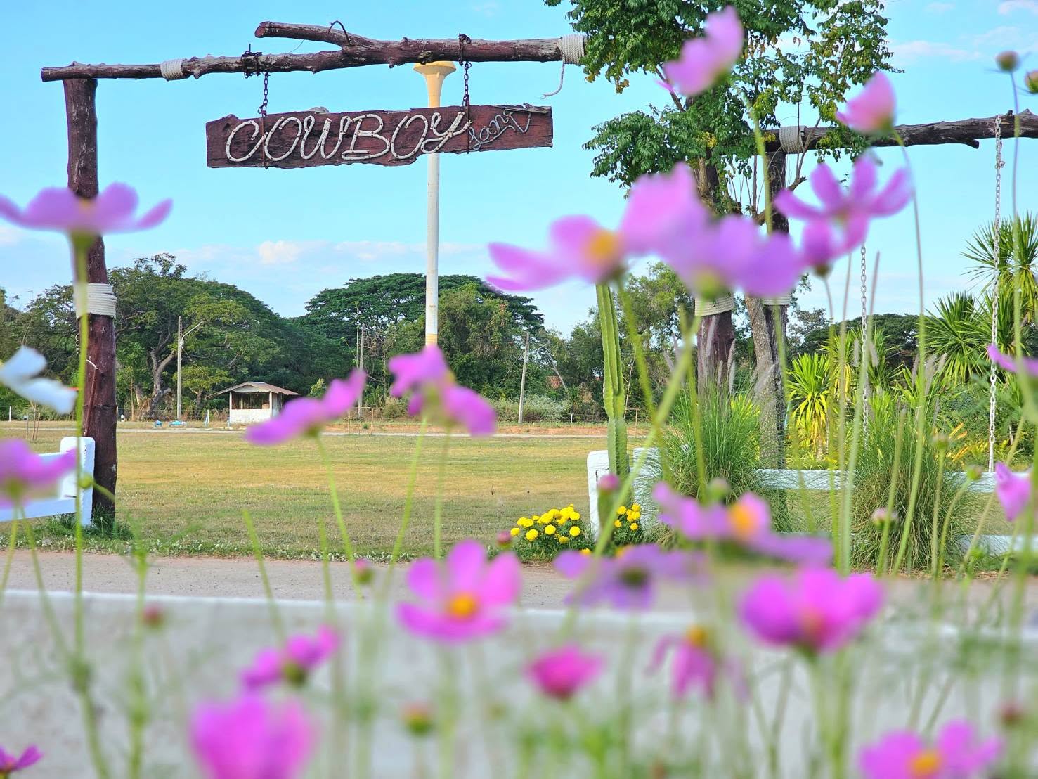 คาเฟ่ภายในฟาร์มมหาวิทยาลัยมหาสารคาม
